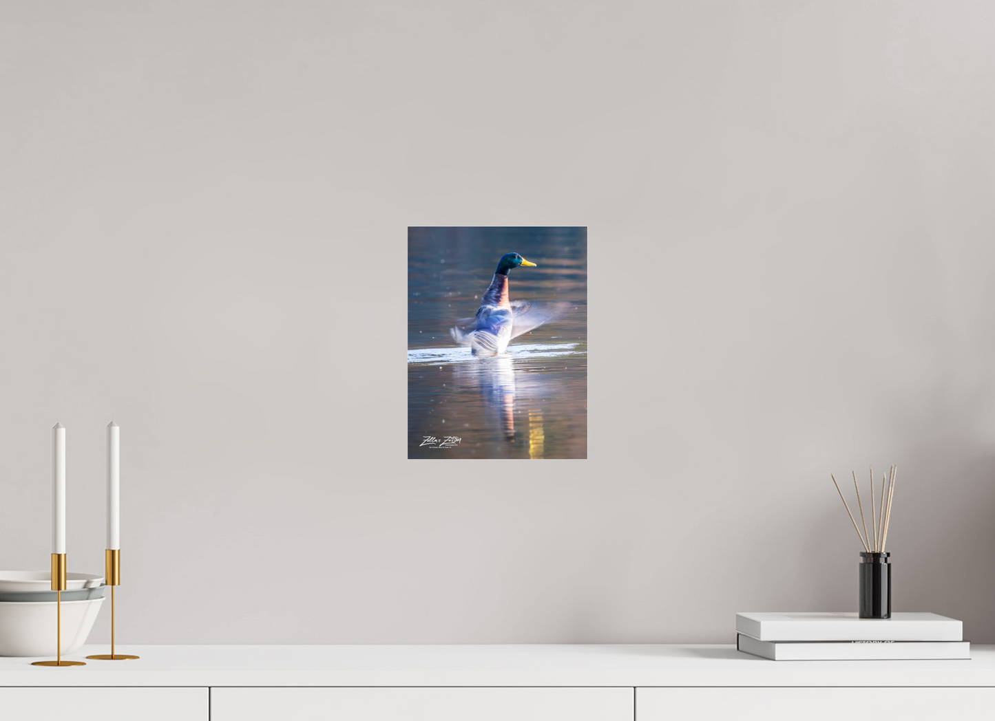 8 x 10.4″, Photo Print Under Acrylic Glass Zillas Zoom Image 448