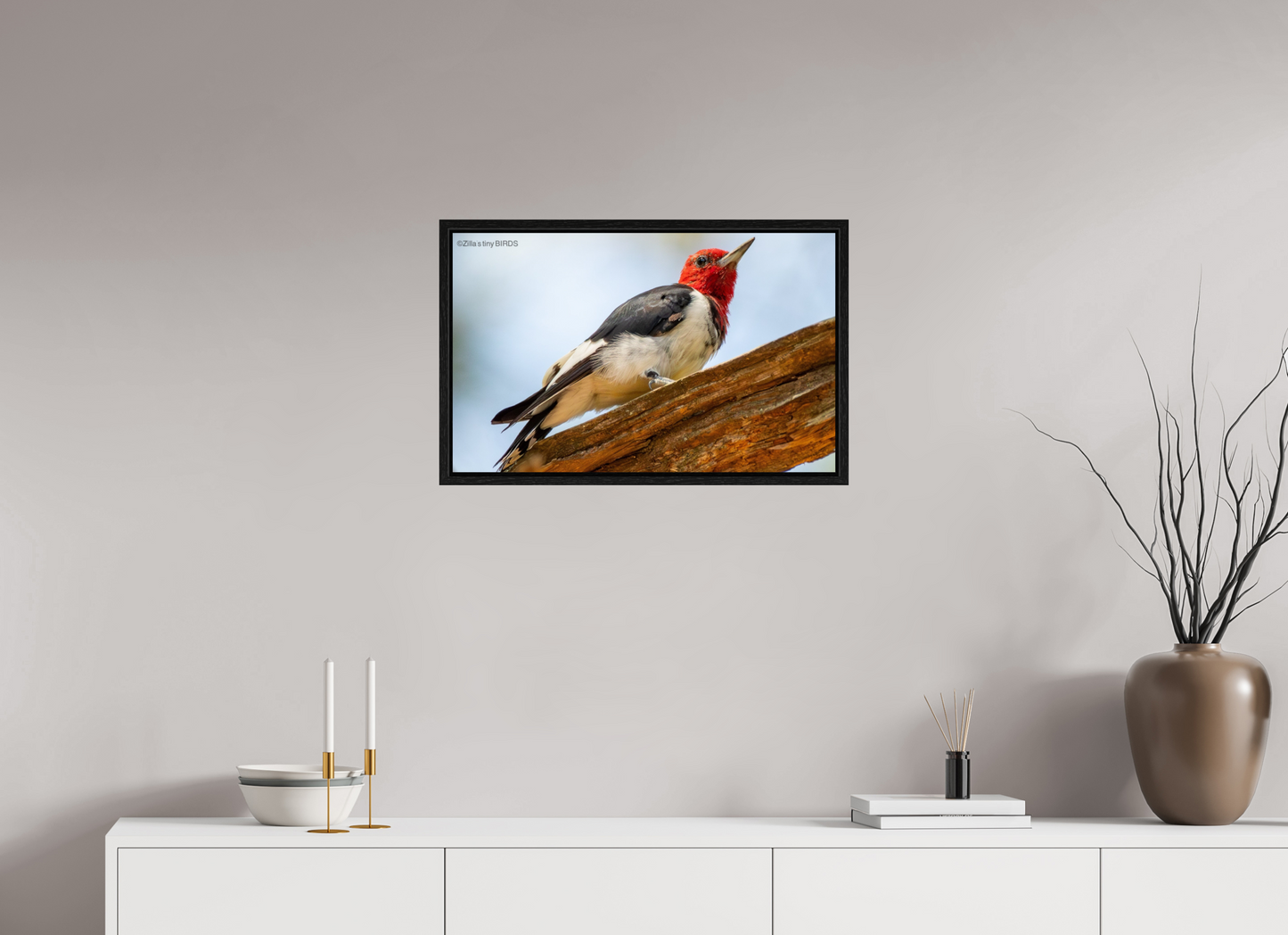 25.6 x 16″, Floater Frame Zillas Zoom Image 328