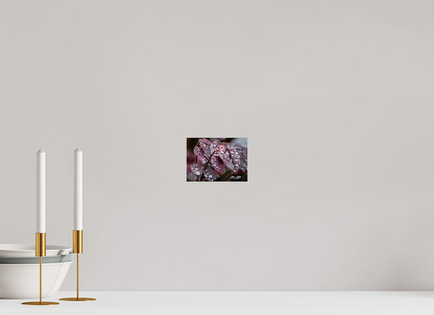 5.6 x 4″, Photo Print Under Acrylic Glass Zillas Zoom Image 100