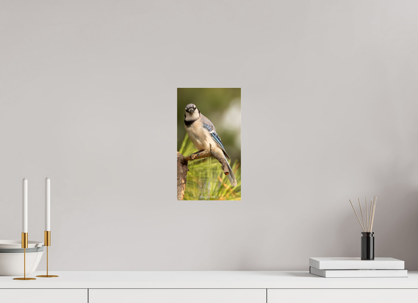 6.8 x 12″, Photo Print Under Acrylic Glass Zillas Zoom Image 494