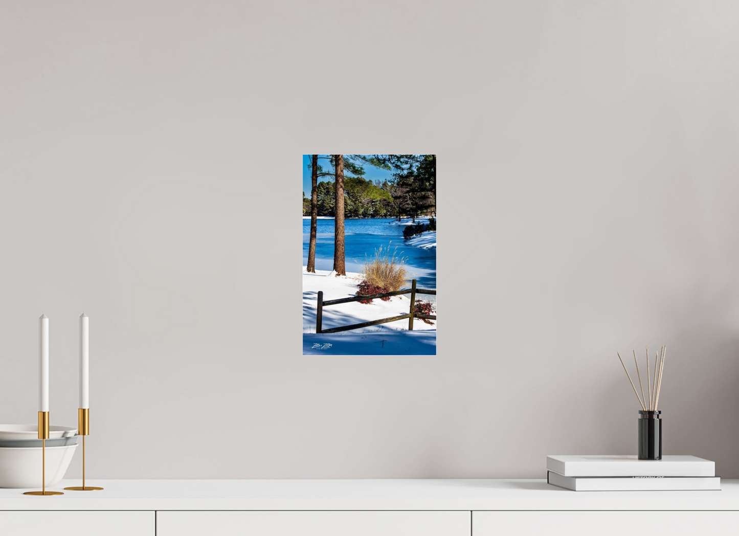 8 x 12″, Photo Print Under Acrylic Glass Zillas Zoom Image 253