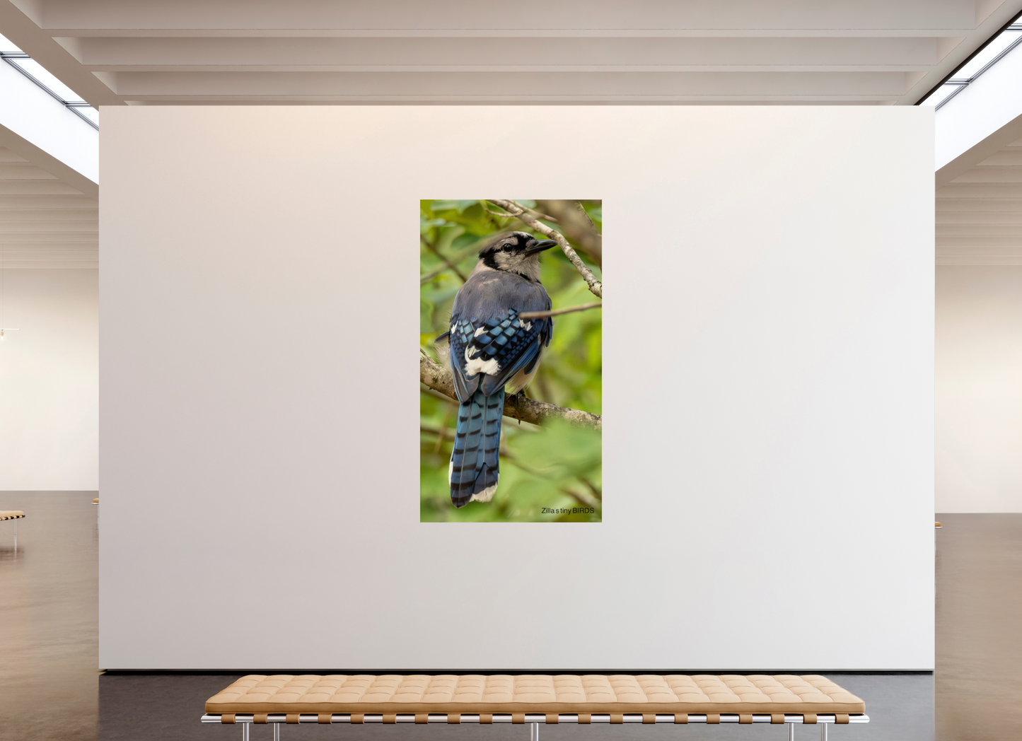45 x 80″, Photo Print On Fuji Crystal DP II Zillas Zoom Image 485