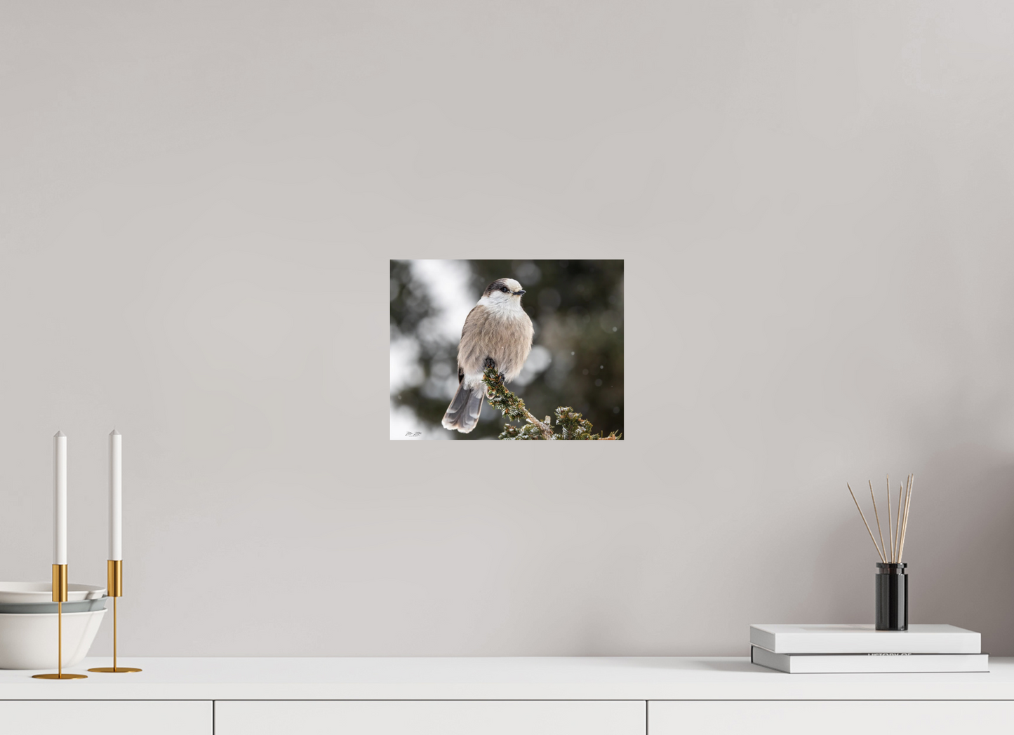 10.4 x 8″, Photo Print On Fuji Crystal DP II Zillas Zoom Image 353