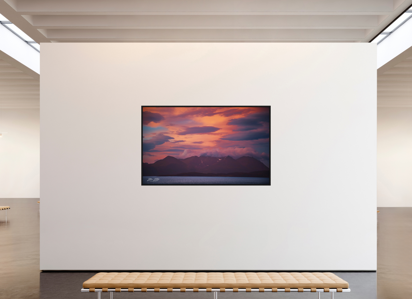 77.3 x 47″, Floater Frame Zillas Zoom Image 76