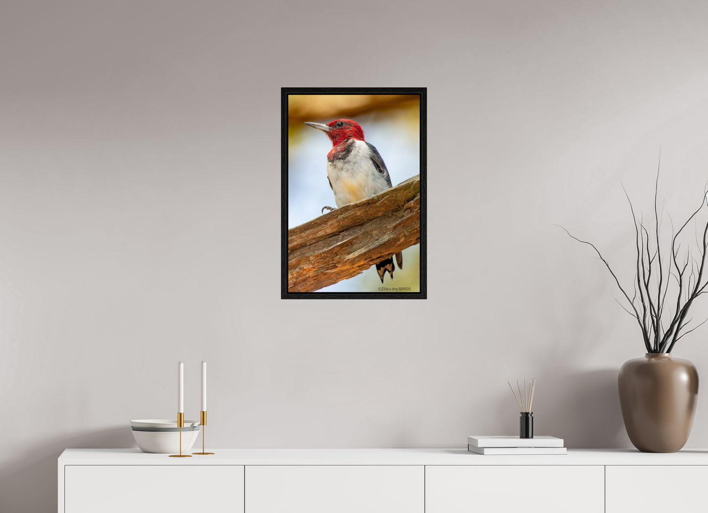 16 x 24″, Floater Frame Zillas Zoom Image 442