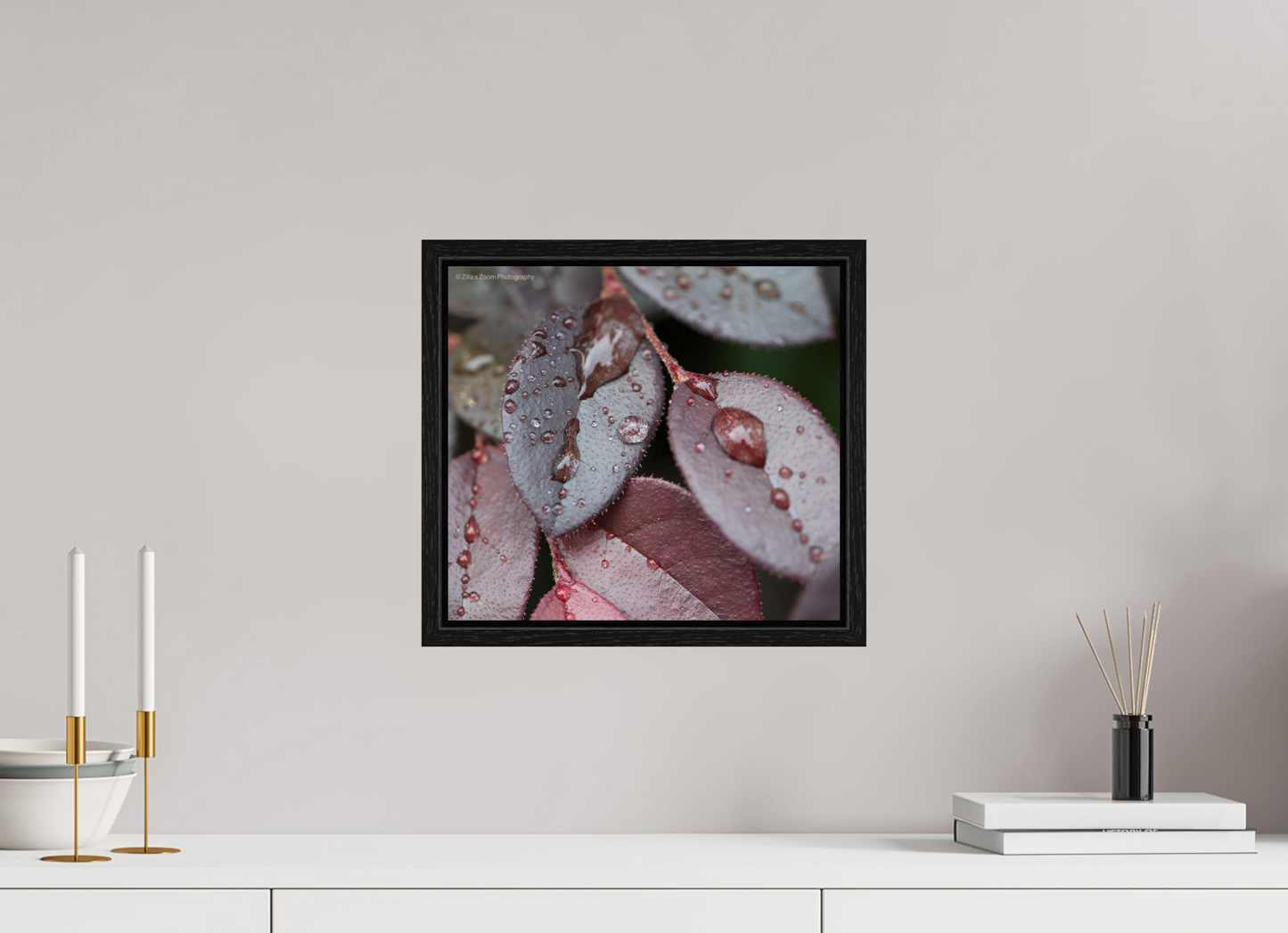 13.3 x 12″, Floater Frame Zillas Zoom Image 99
