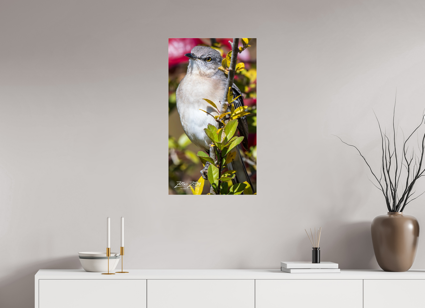 18 x 32″, Photo Print Under Acrylic Glass Zillas Zoom Image 406