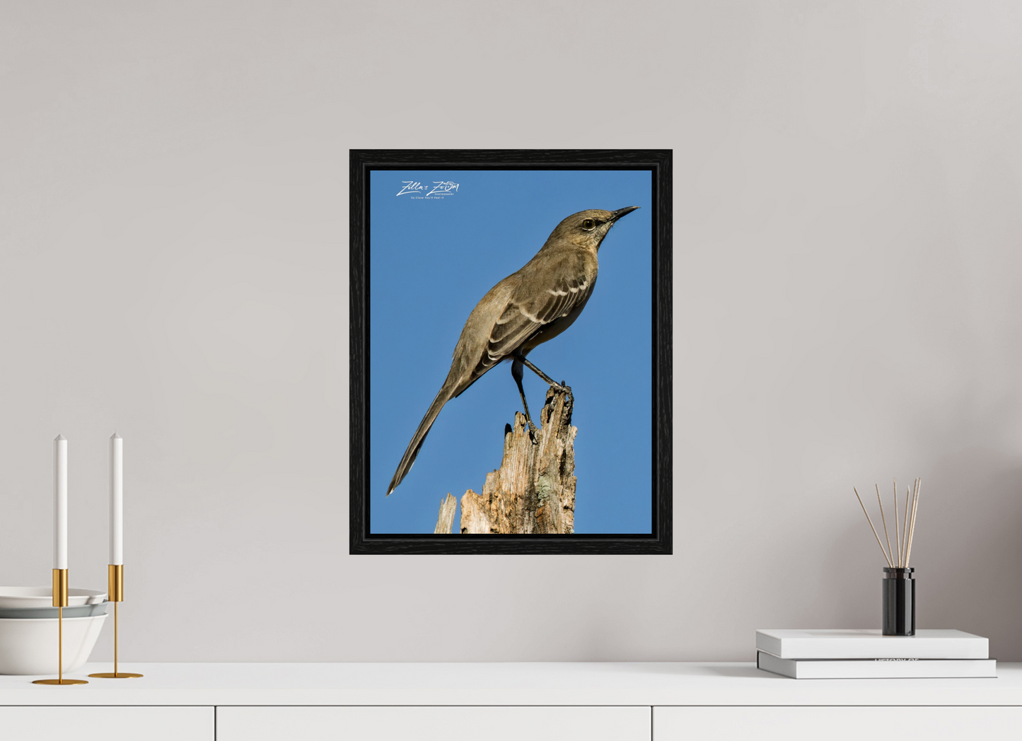 12 x 15.5″, Floater Frame Zillas Zoom Image 404