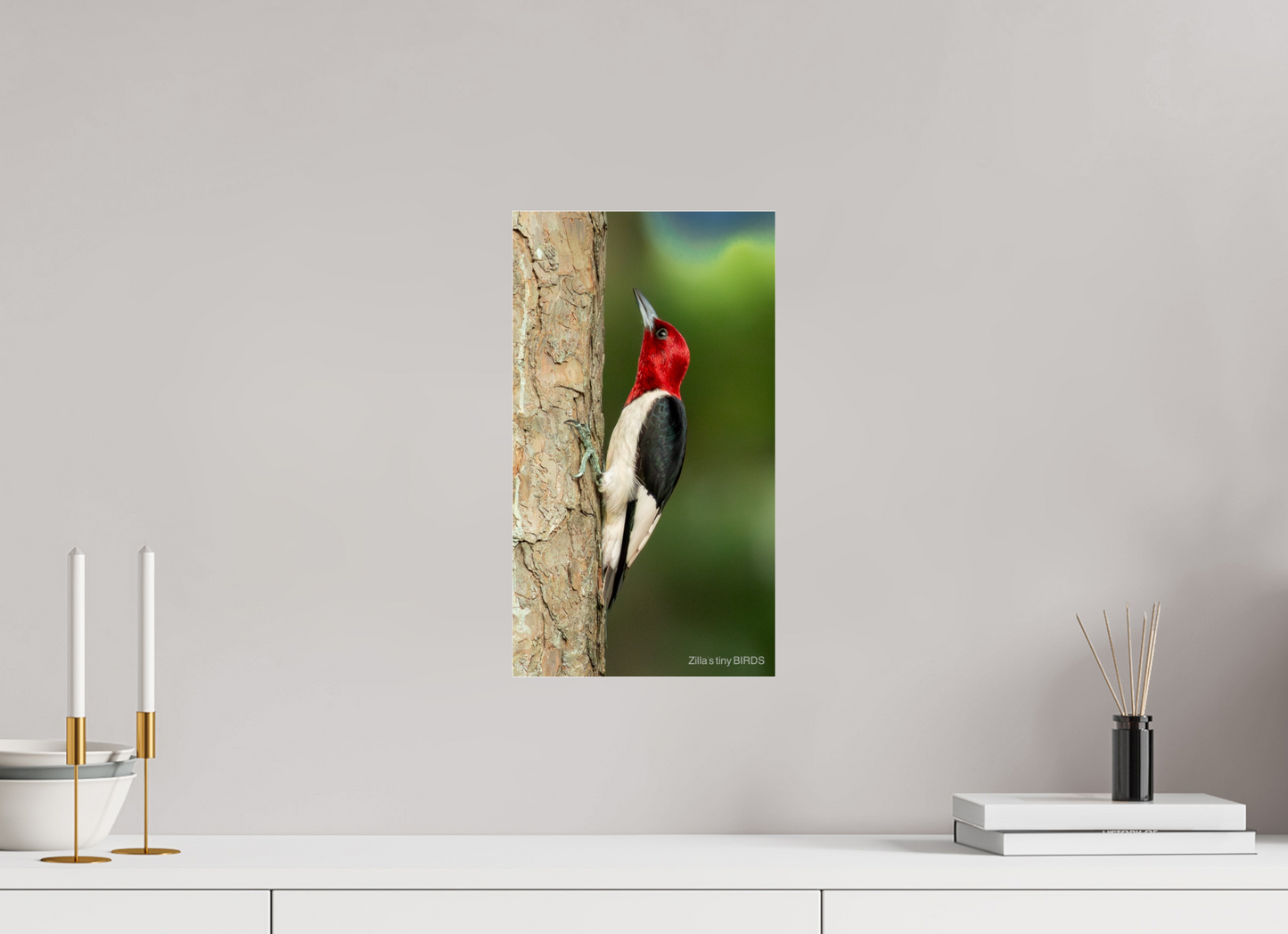 9 x 16″, Photo Print Under Acrylic Glass Zillas Zoom Image 492