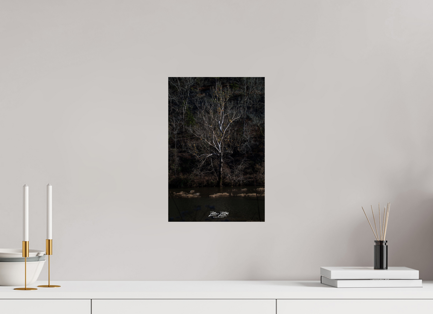 10 x 15″, Photo Print On Fuji Crystal DP II Zillas Zoom Image 255