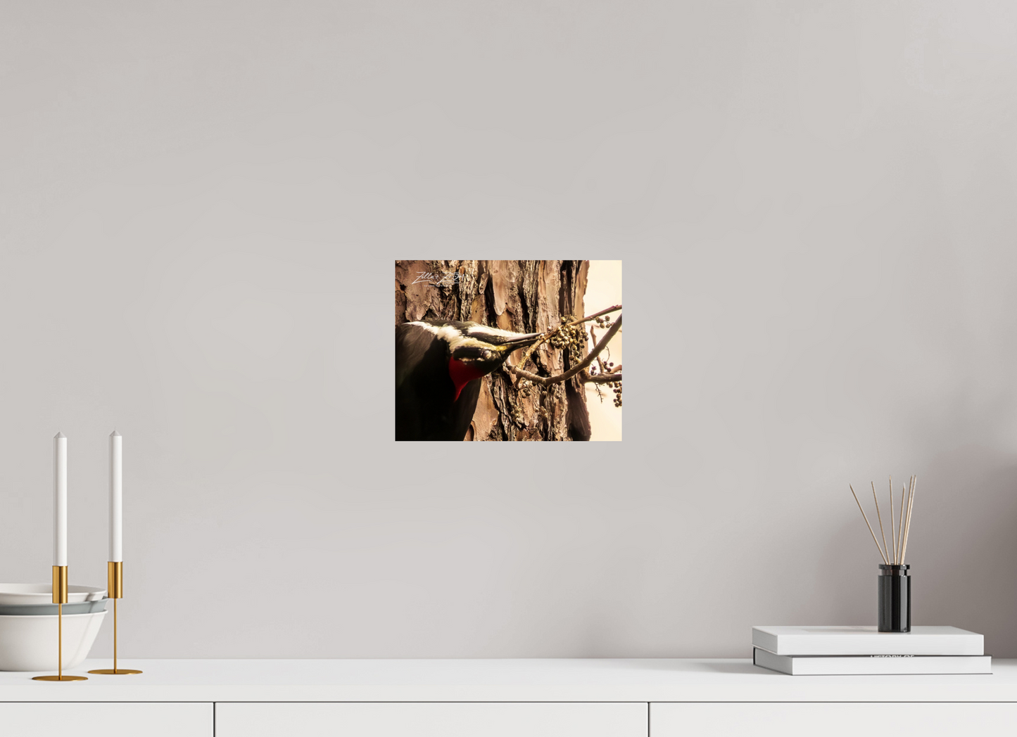 10 x 8″, Photo Print On Fuji Crystal DP II Zillas Zoom Image 280