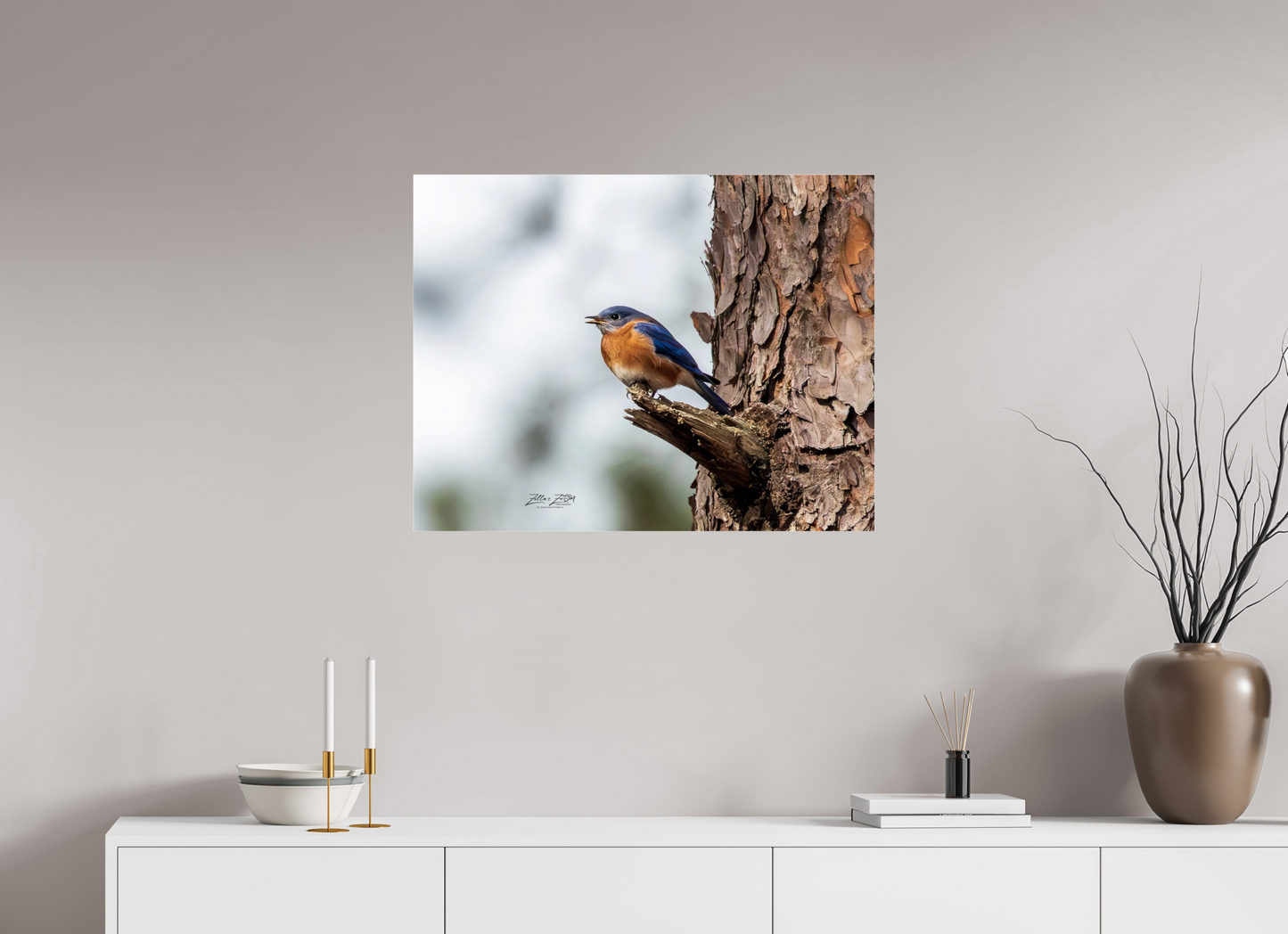 31.1 x 24″, Photo Print Under Acrylic Glass Zillas Zoom Image 349
