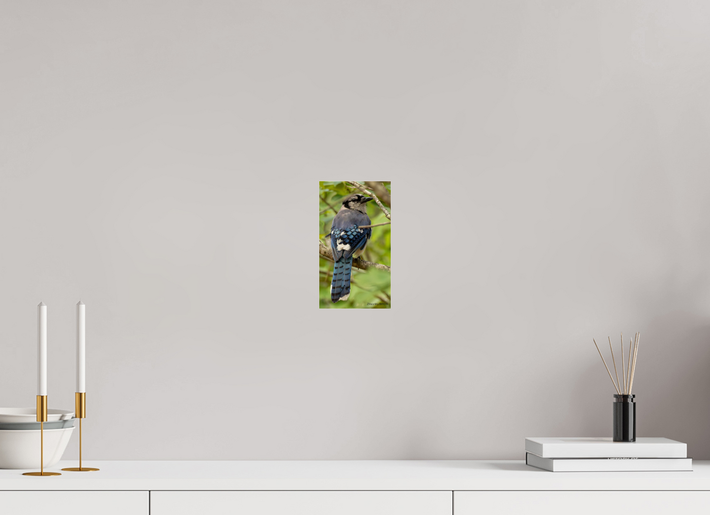 4.5 x 8″, Photo Print Under Acrylic Glass Zillas Zoom Image 485
