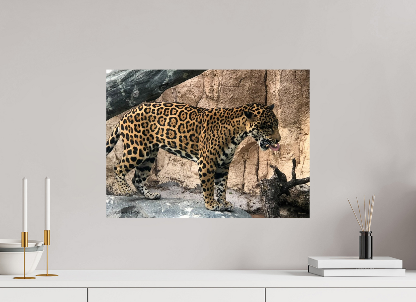 21.9 x 16″, Photo Print On Fuji Crystal DP II Zillas zoom image 137