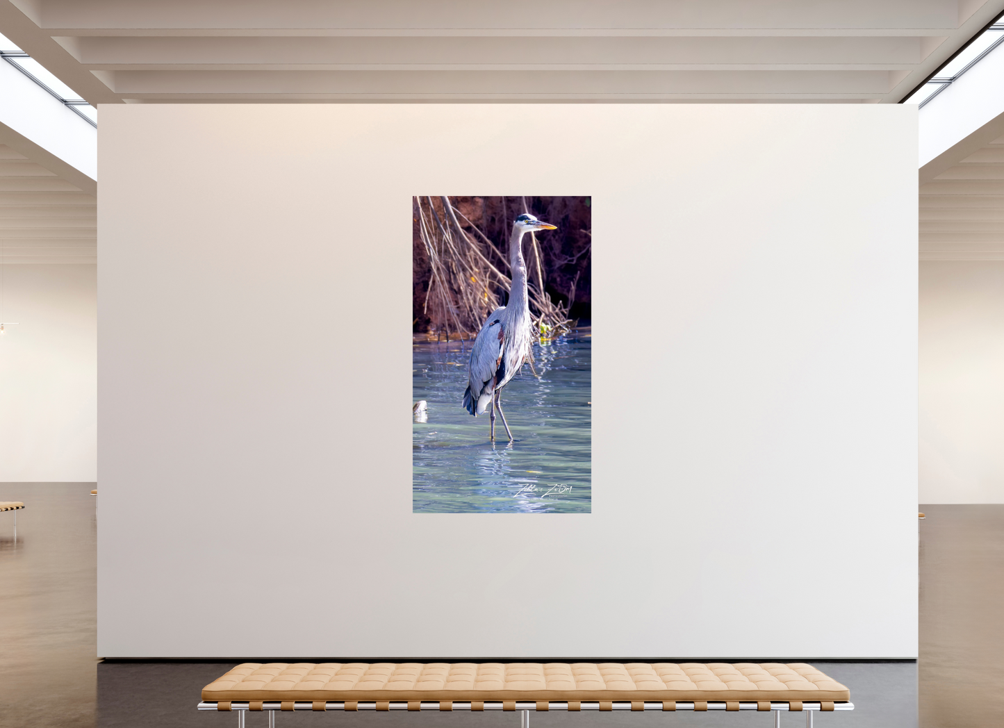 45 x 80″, Photo Print On Fuji Crystal DP II Zillas Zoom Image 429