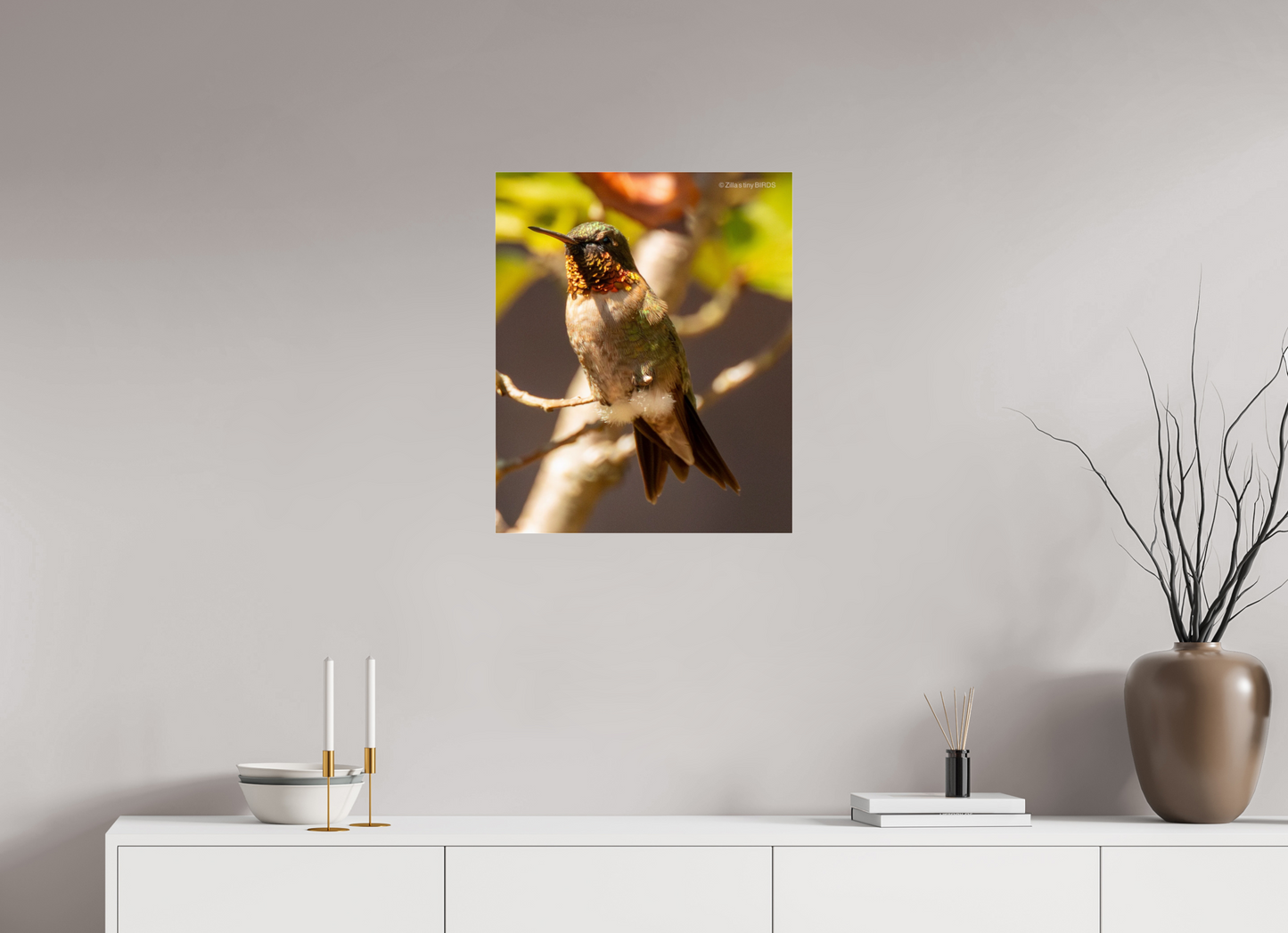 20 x 24.4″, Photo Print Under Acrylic Glass Zillas Zoom Image 454