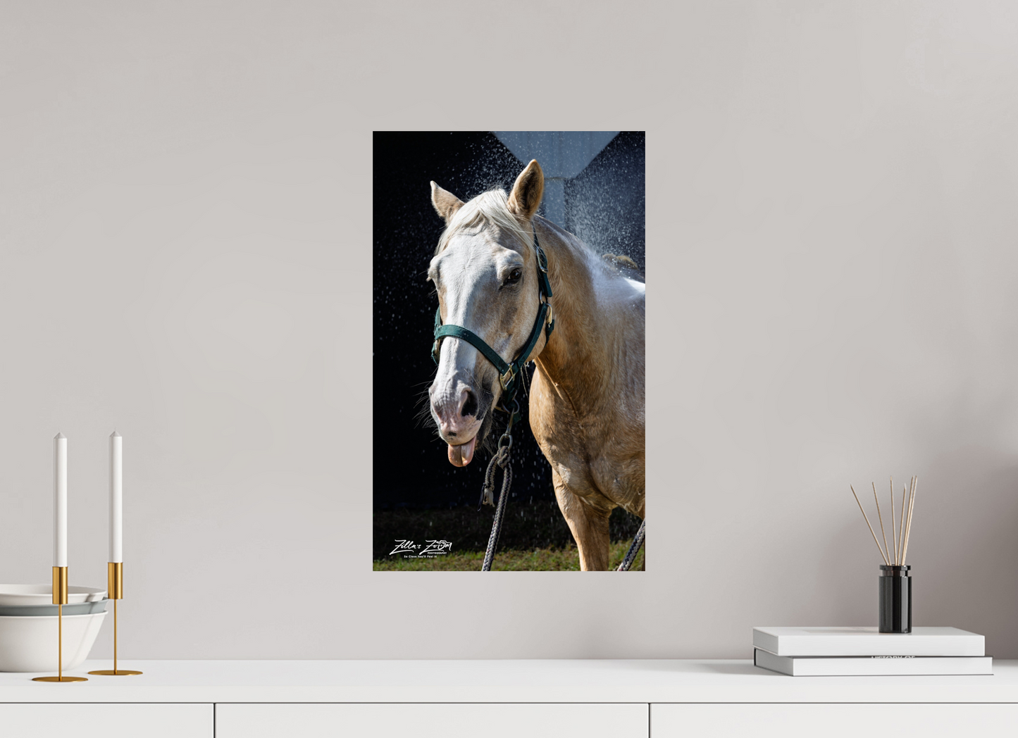 12 x 19.4″, Photo Print On Fuji Crystal DP II Zillas zoom image 156