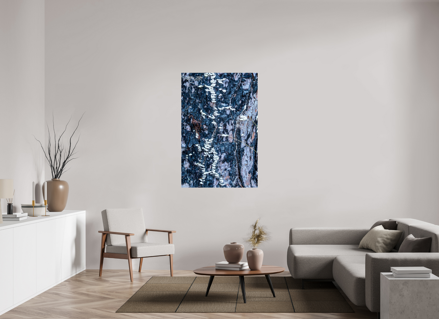 36 x 54″, Photo Print Under Acrylic Glass Zillas Zoom Image 114