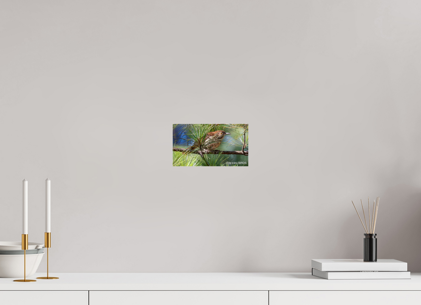 8 x 4.5″, Photo Print Under Acrylic Glass Zillas Zoom Image 379