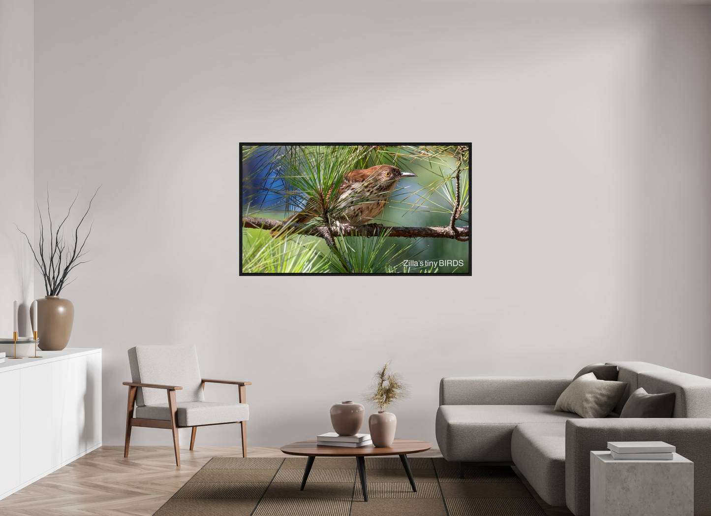 64 x 36″, Floater Frame Zillas Zoom Image 379