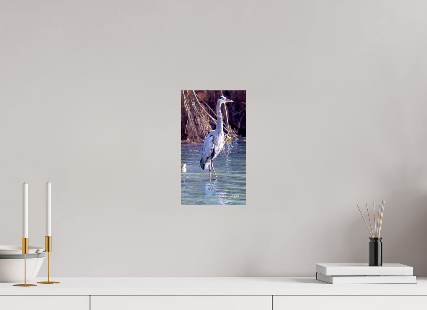 6.8 x 12″, Photo Print On Fuji Crystal DP II Zillas Zoom Image 429