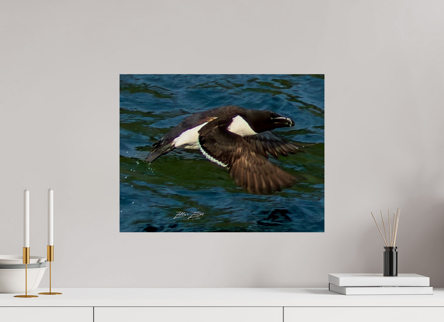20.7 x 16″, Photo Print On Fuji Crystal DP II Zillas Zoom Image 332