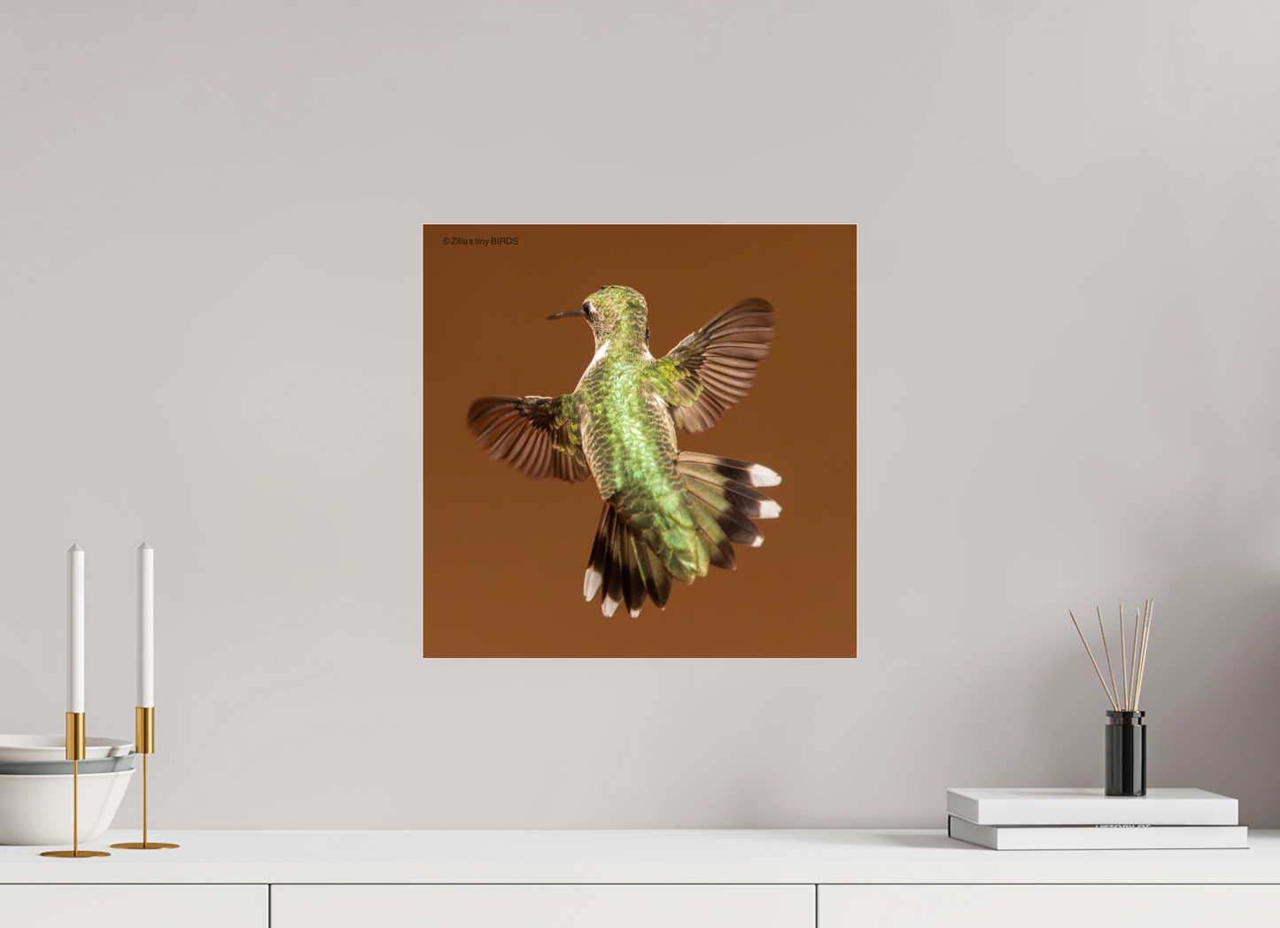 15 x 15″, Photo Print Under Acrylic Glass Zillas Zoom Image 338