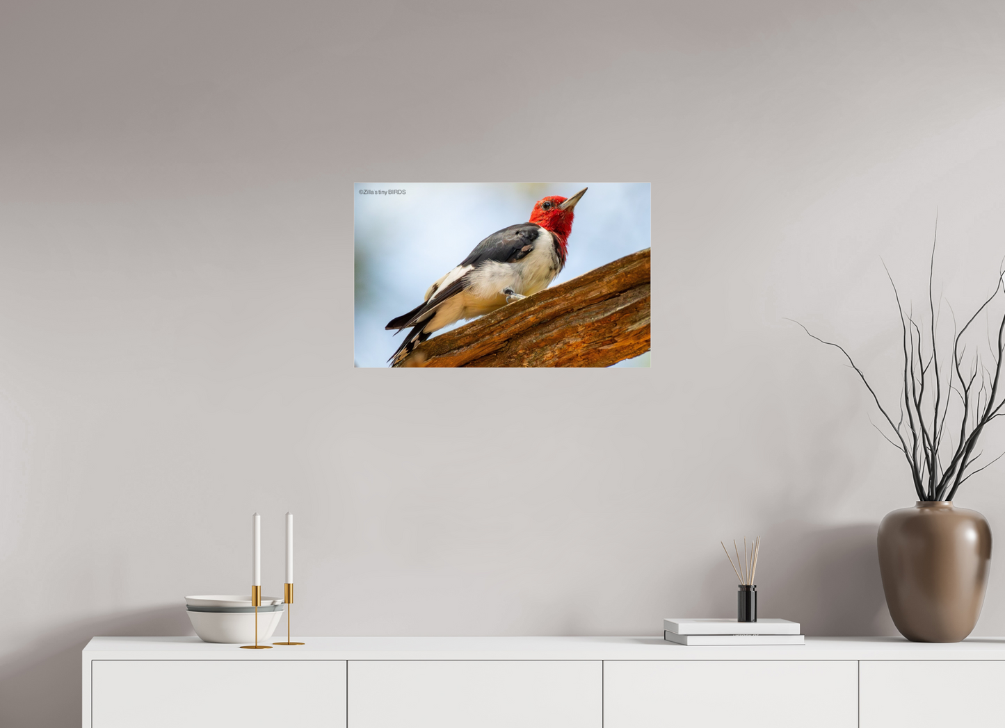 25.6 x 16″, Photo Print Under Acrylic Glass Zillas Zoom Image 328