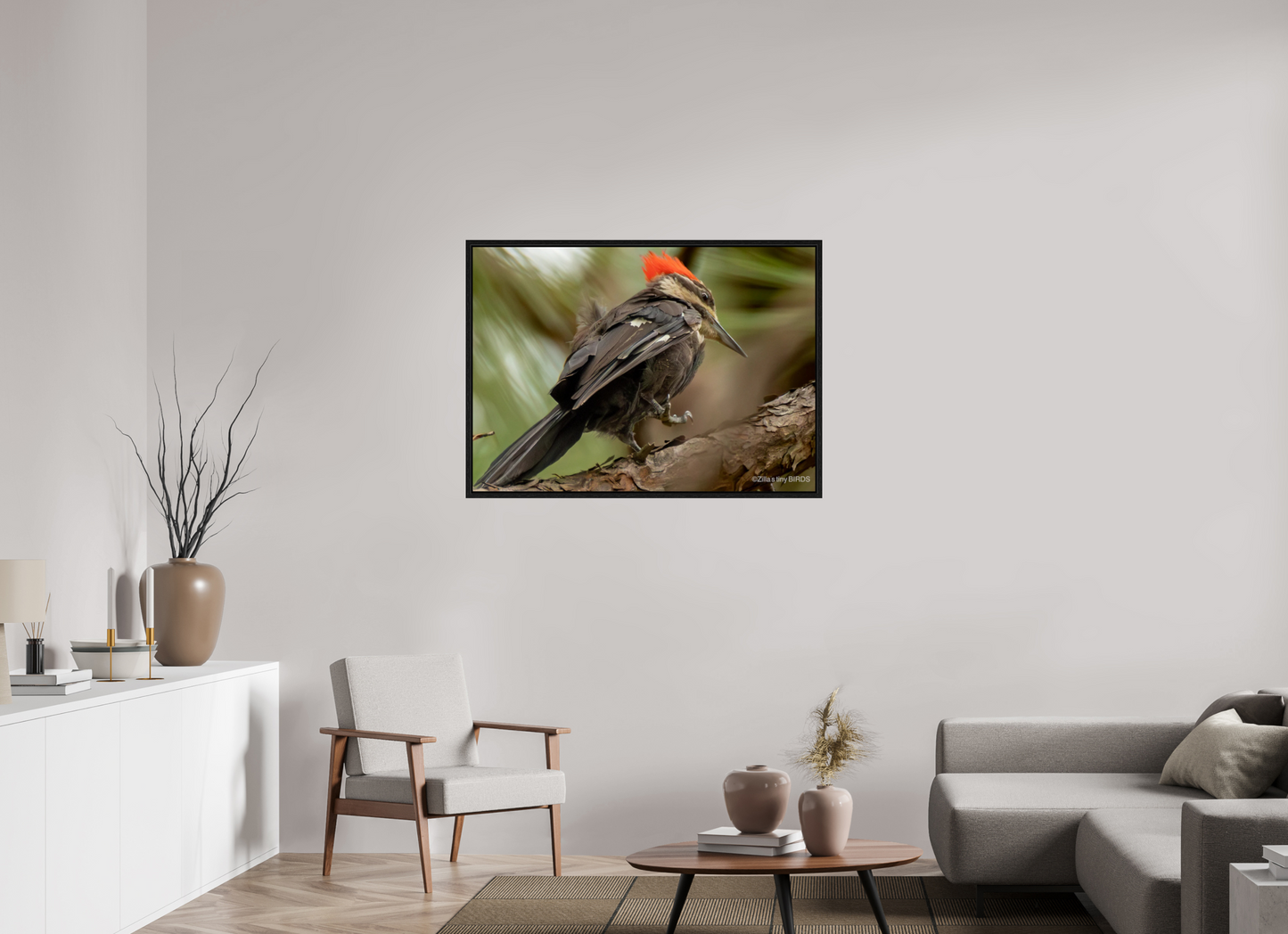 43.4 x 31″, Floater Frame Zillas Zoom Image 341