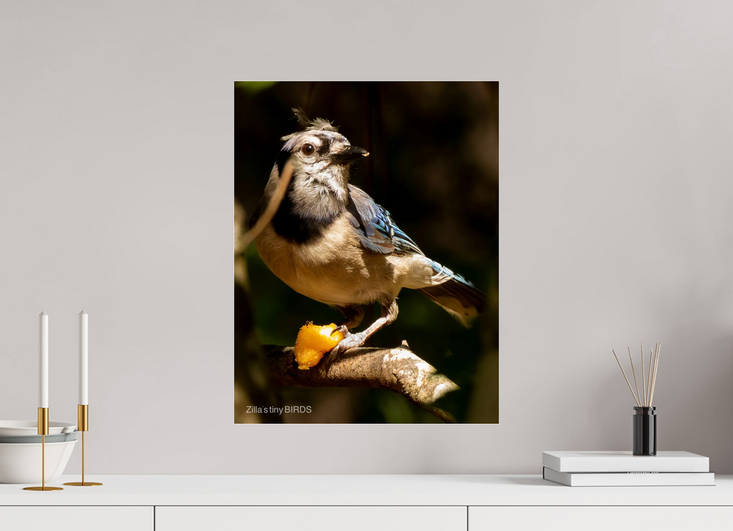 16 x 20.7″, Photo Print Under Acrylic Glass Zillas Zoom Image 480