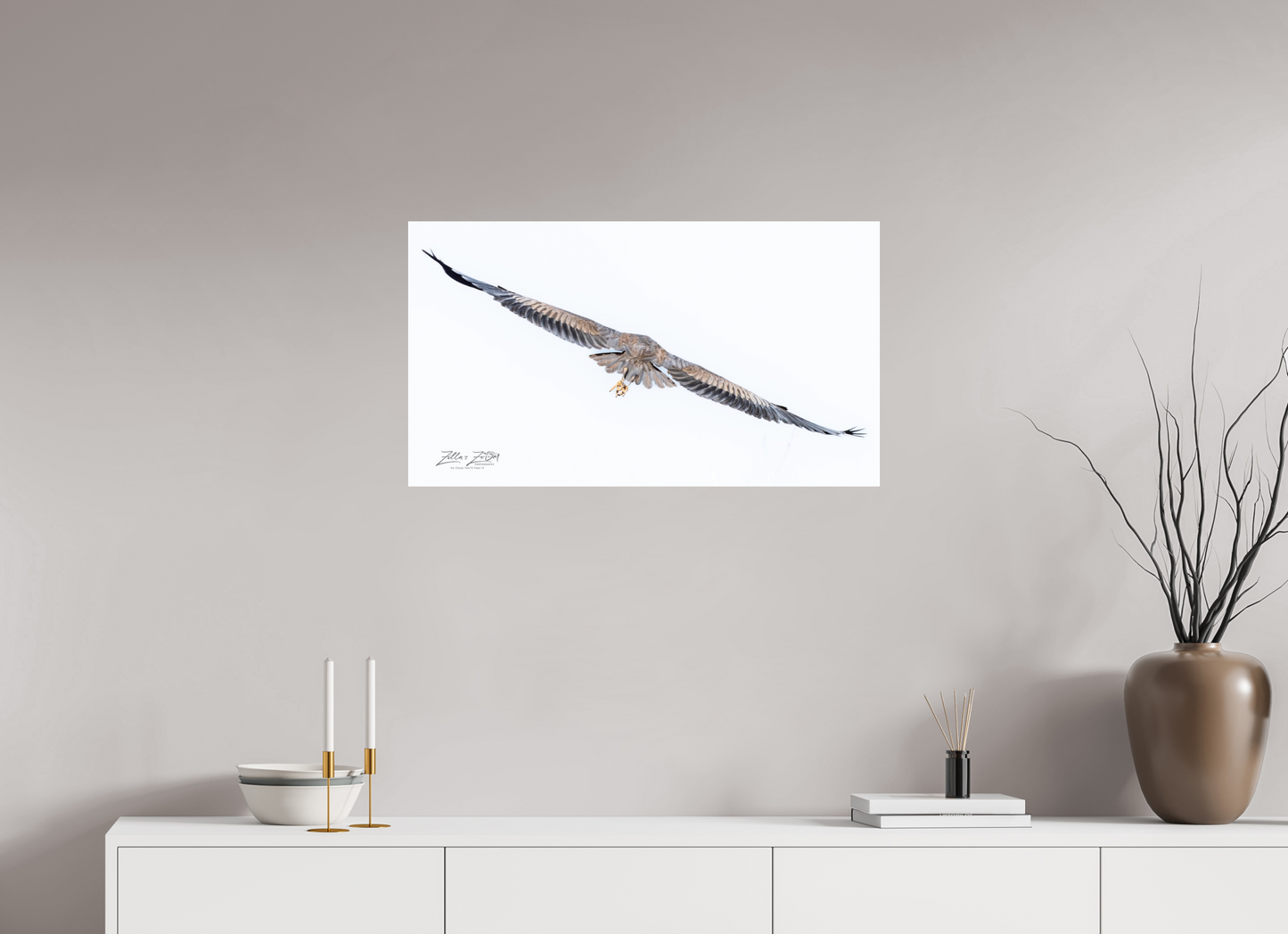 32 x 18″, Photo Print On Fuji Crystal DP II Zillas Zoom Image 275