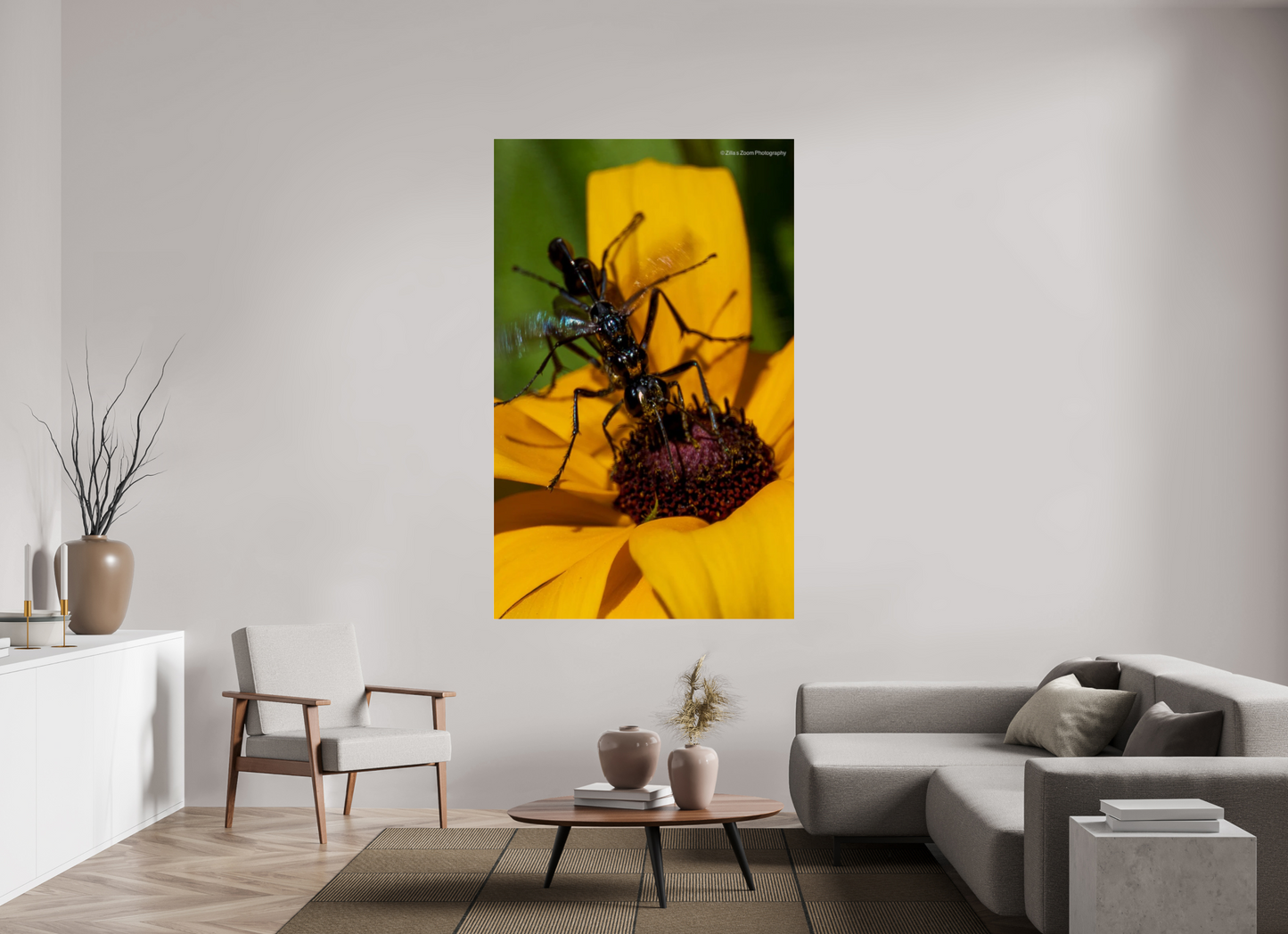 47 x 75.2″, Photo Print Under Acrylic Glass Zillas Zoom Image 108