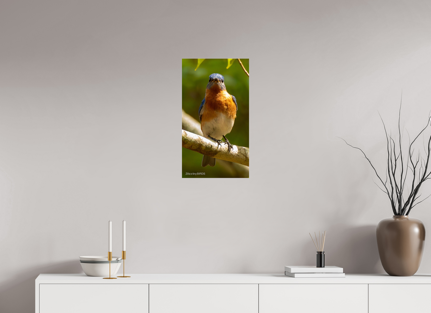 13.5 x 24″, Photo Print Under Acrylic Glass Zillas Zoom Image 481