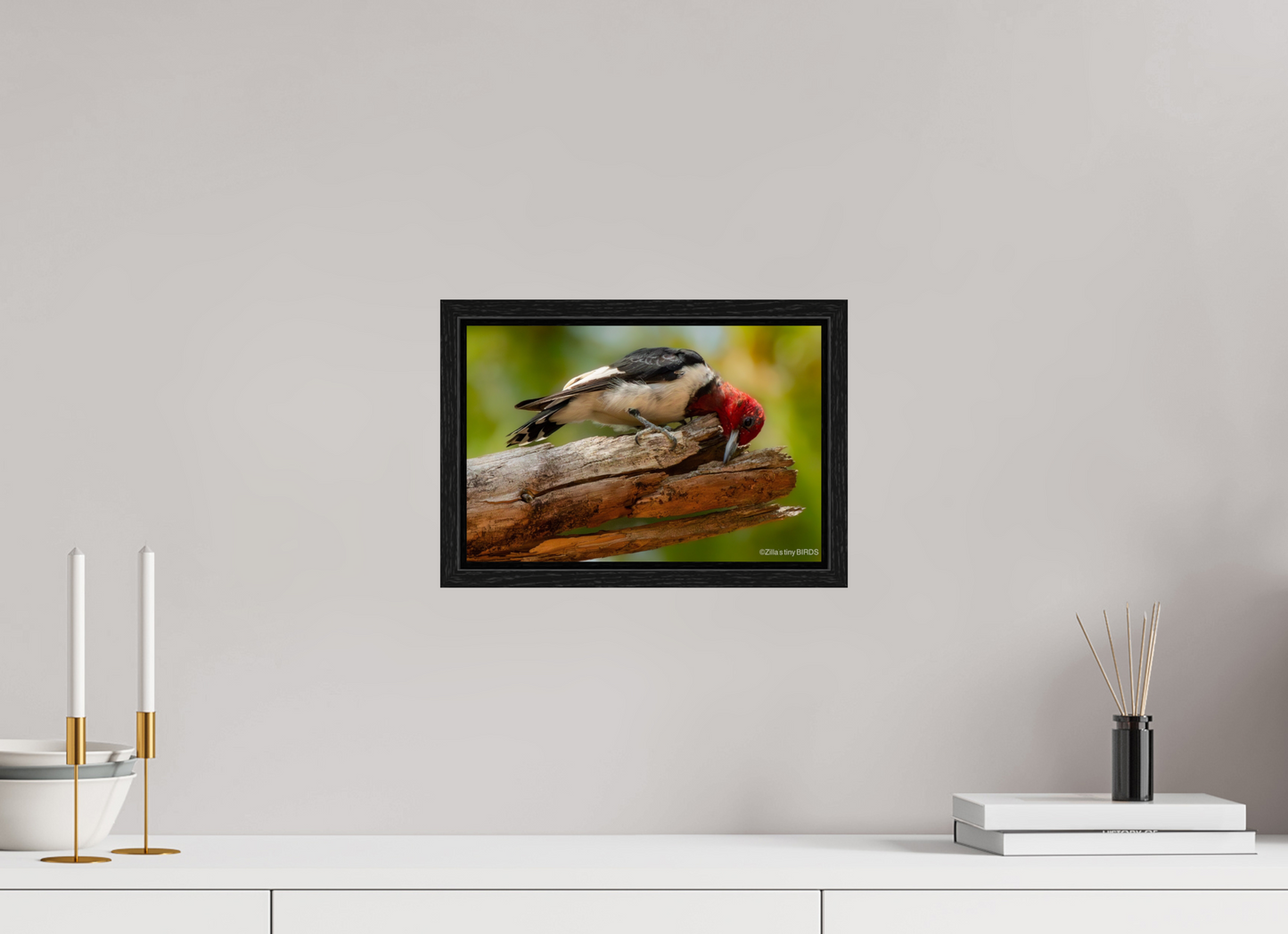 12 x 8″, Floater Frame Zillas Zoom Image 329