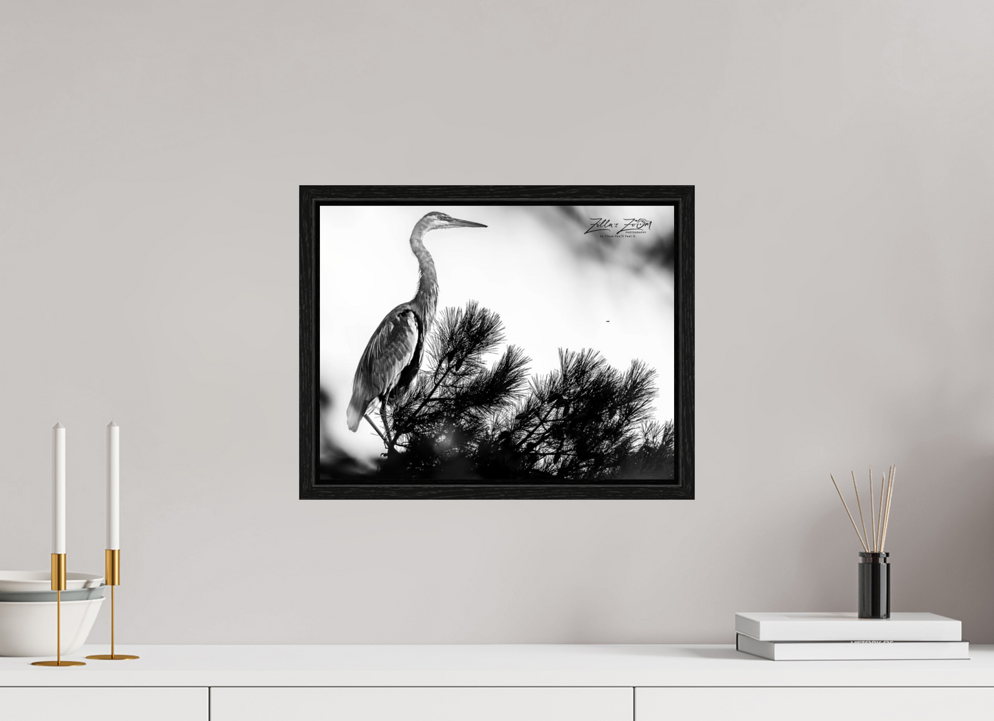 15.6 x 12″, Floater Frame Zillas Zoom Image 298