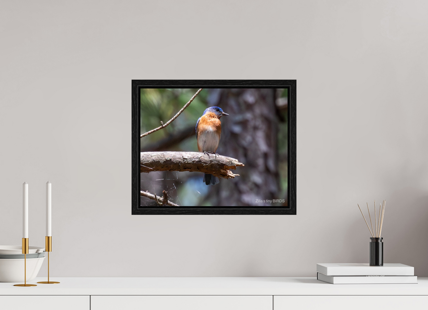 15 x 12″, Floater Frame Zillas Zoom Image 368