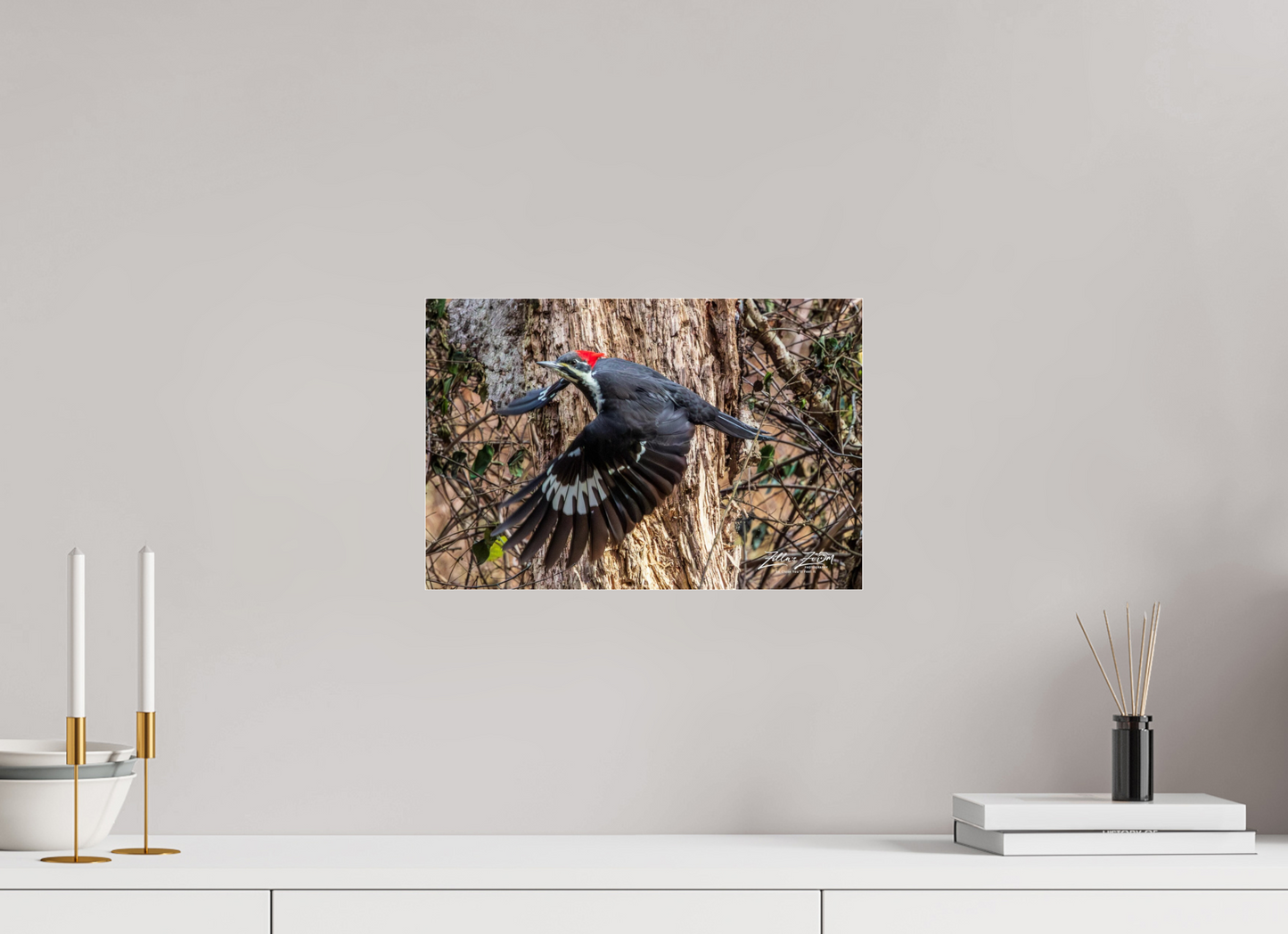 15 x 10″, Photo Print Under Acrylic Glass Zillas Zoom Image 285
