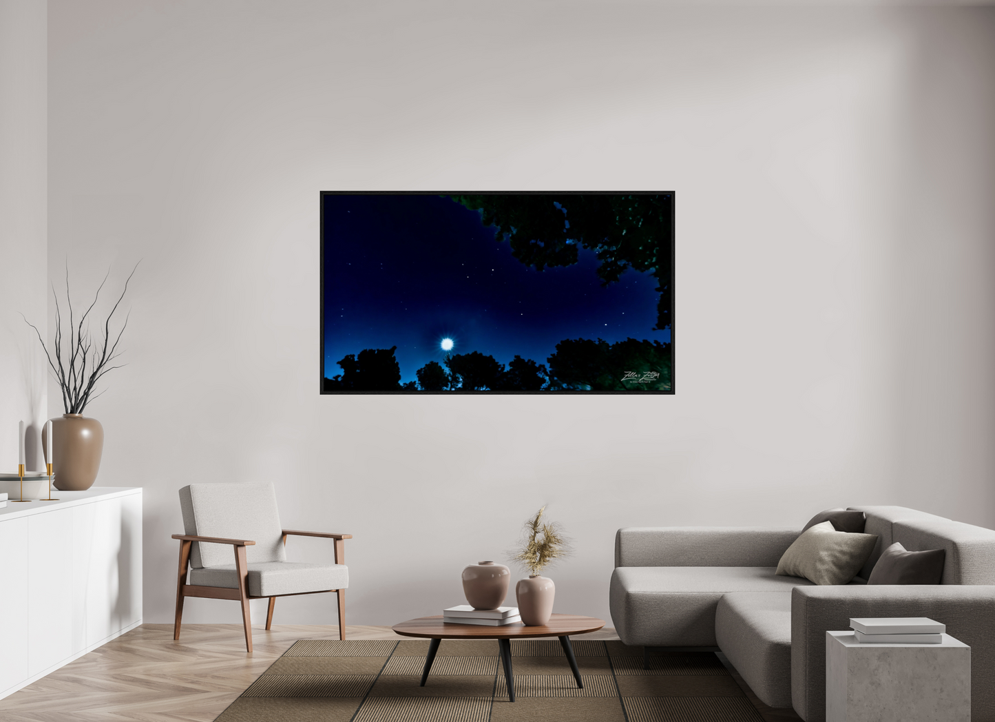70 x 39.4″, Floater Frame Zillas zoom image 119