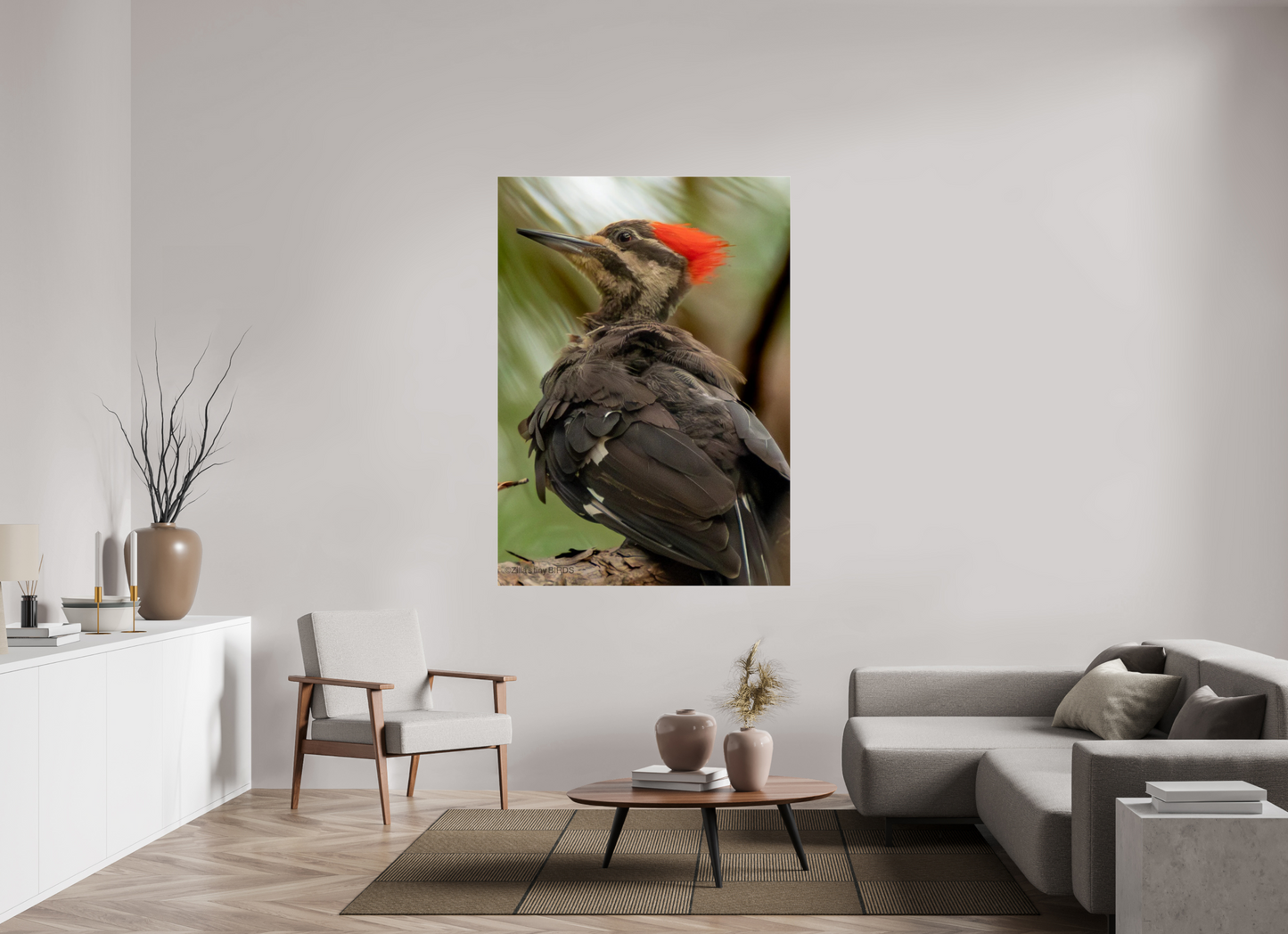 47 x 65.7″, Photo Print Under Acrylic Glass Zillas Zoom Image 443