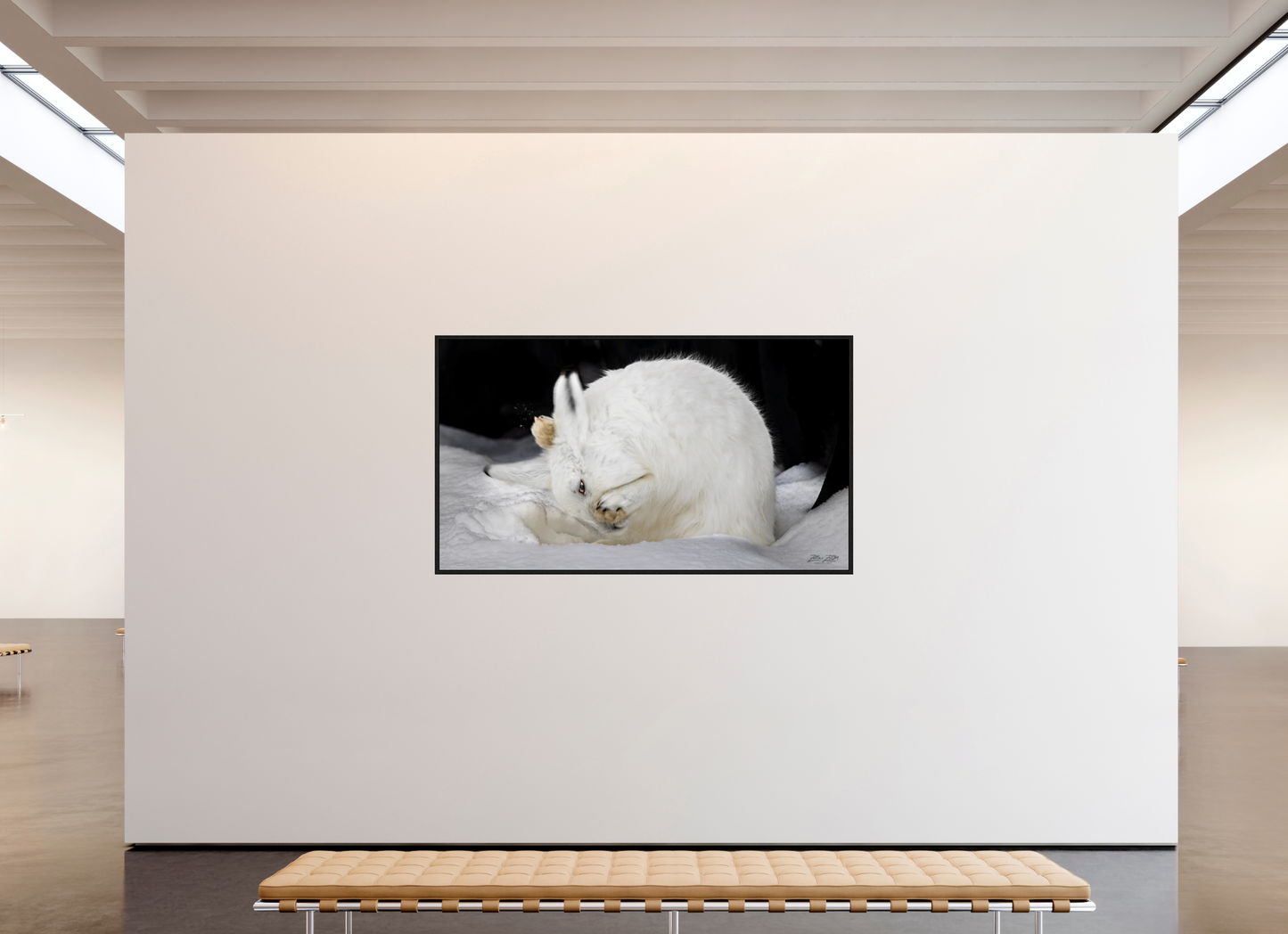 80 x 45″, Floater Frame Zillas zoom image 142