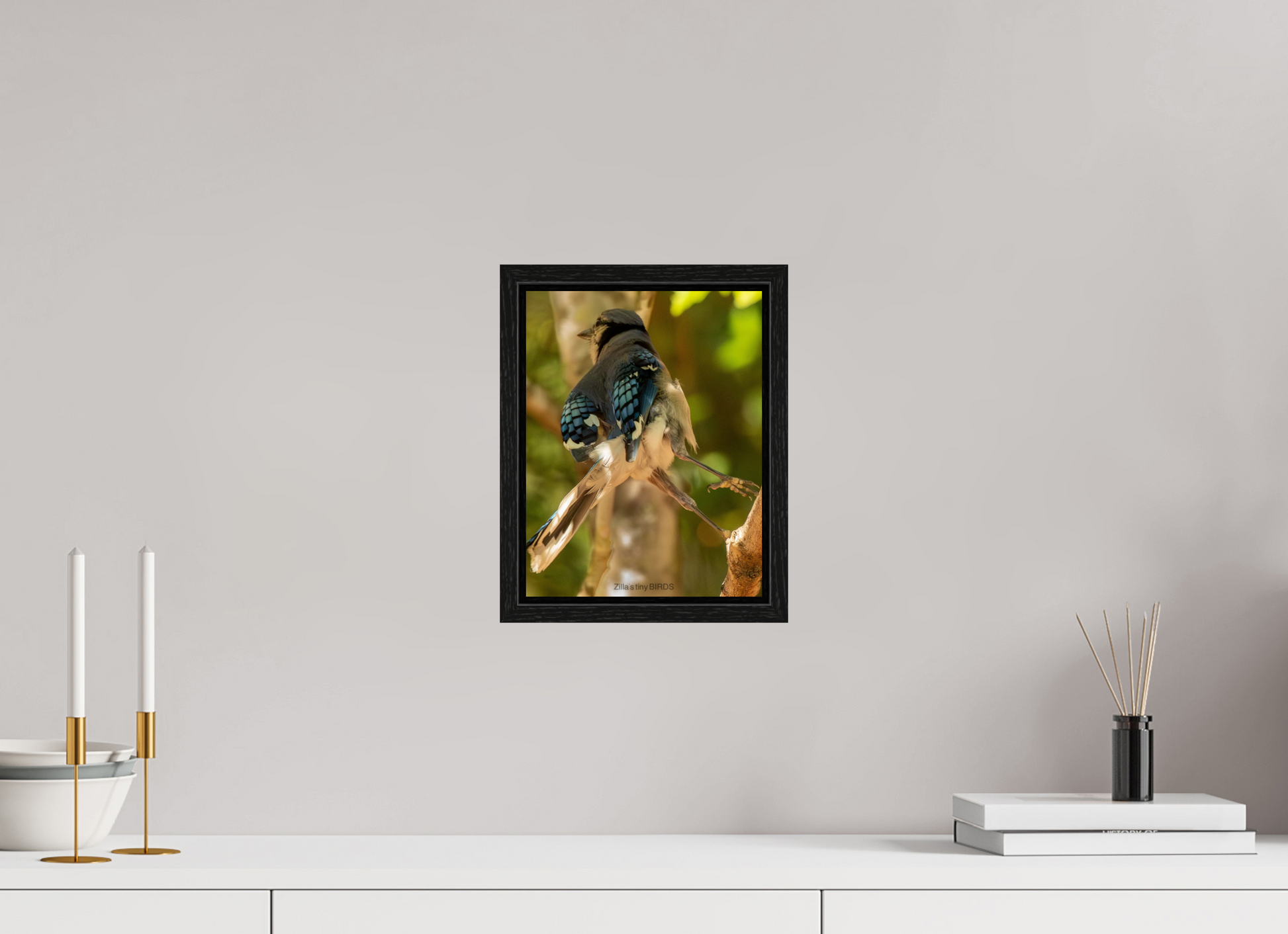 8 x 10.4″, Floater Frame Zillas Zoom Image 518