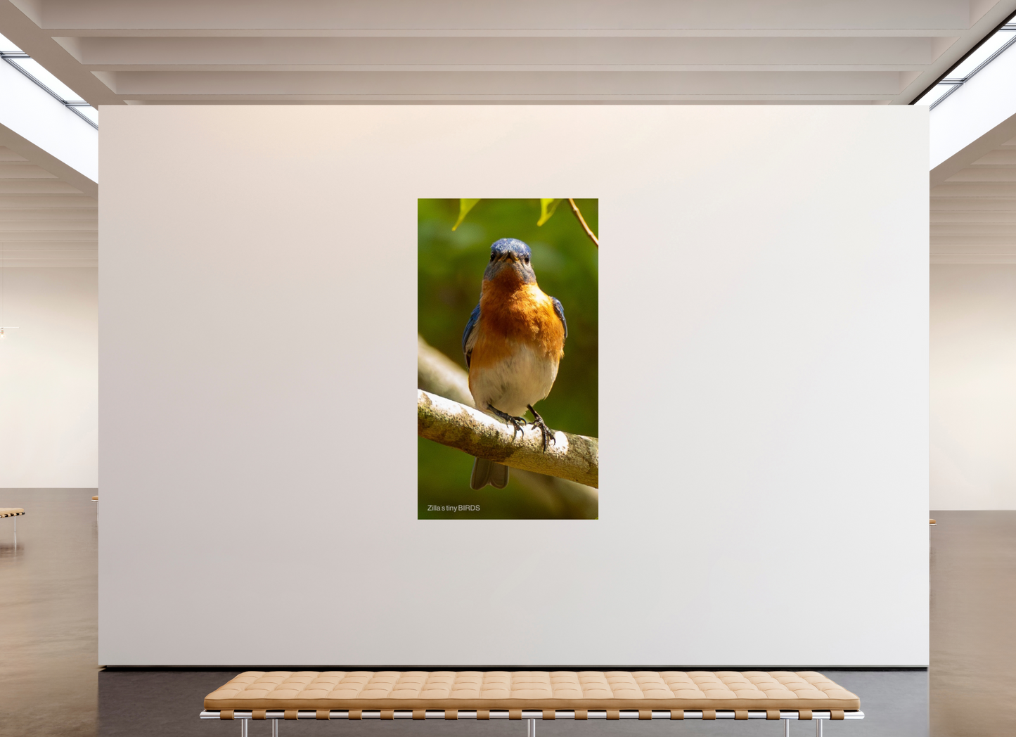 45 x 80″, Photo Print On Fuji Crystal DP II Zillas Zoom Image 481
