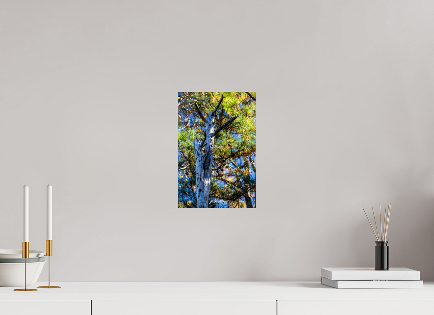 8 x 12″, Photo Print On Fuji Crystal DP II Zillas Zoom Image 252
