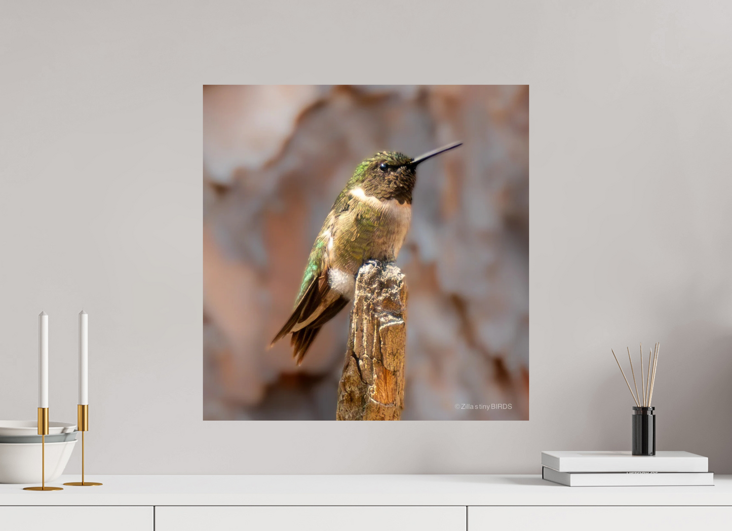 20 x 20.6″, Photo Print On Fuji Crystal DP II Zillas Zoom Image 450