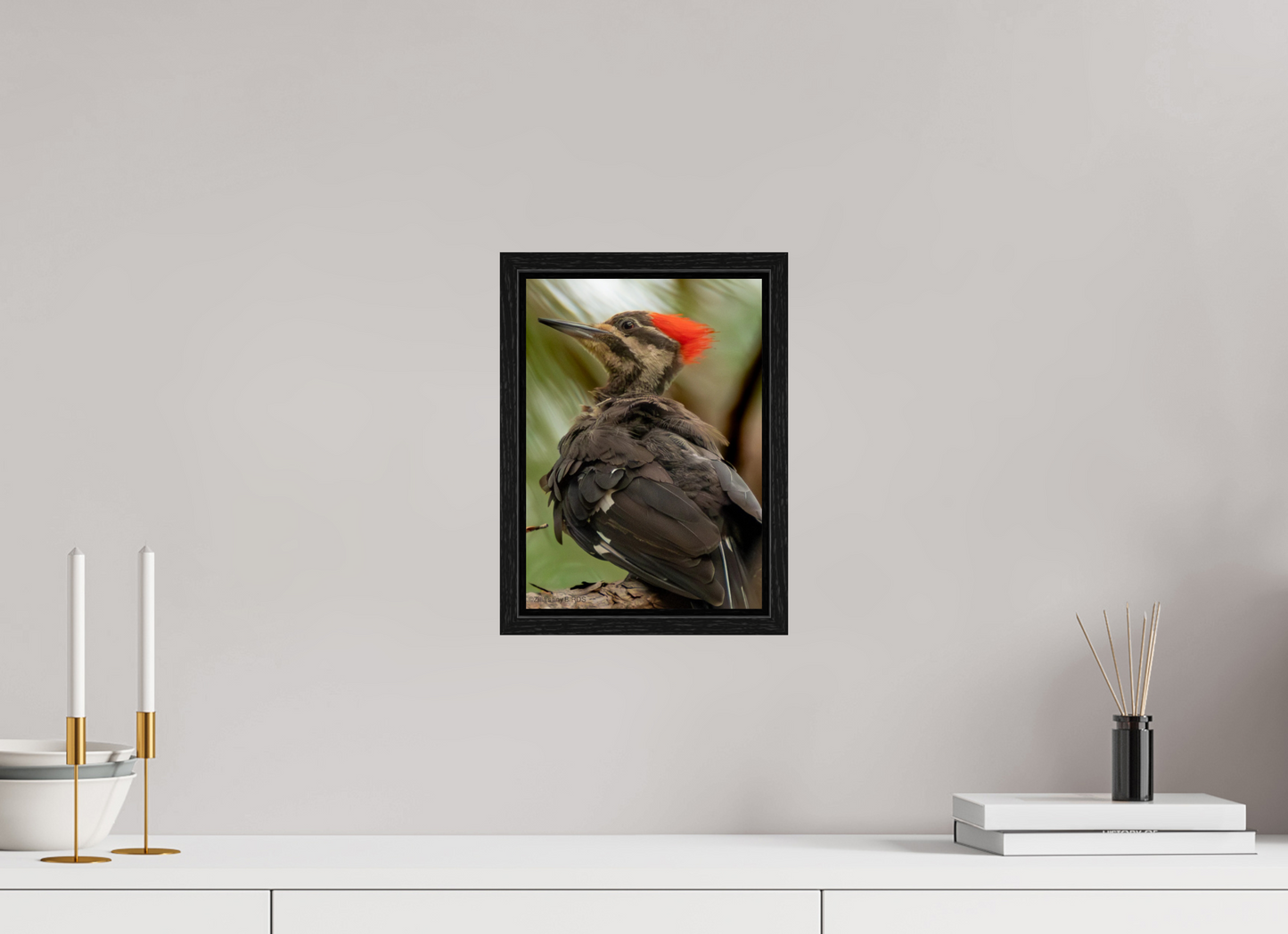 8 x 11.2″, Floater Frame Zillas Zoom Image 443
