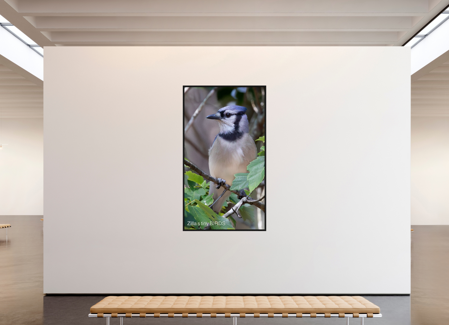45 x 80″, Floater Frame Zillas Zoom Image 483