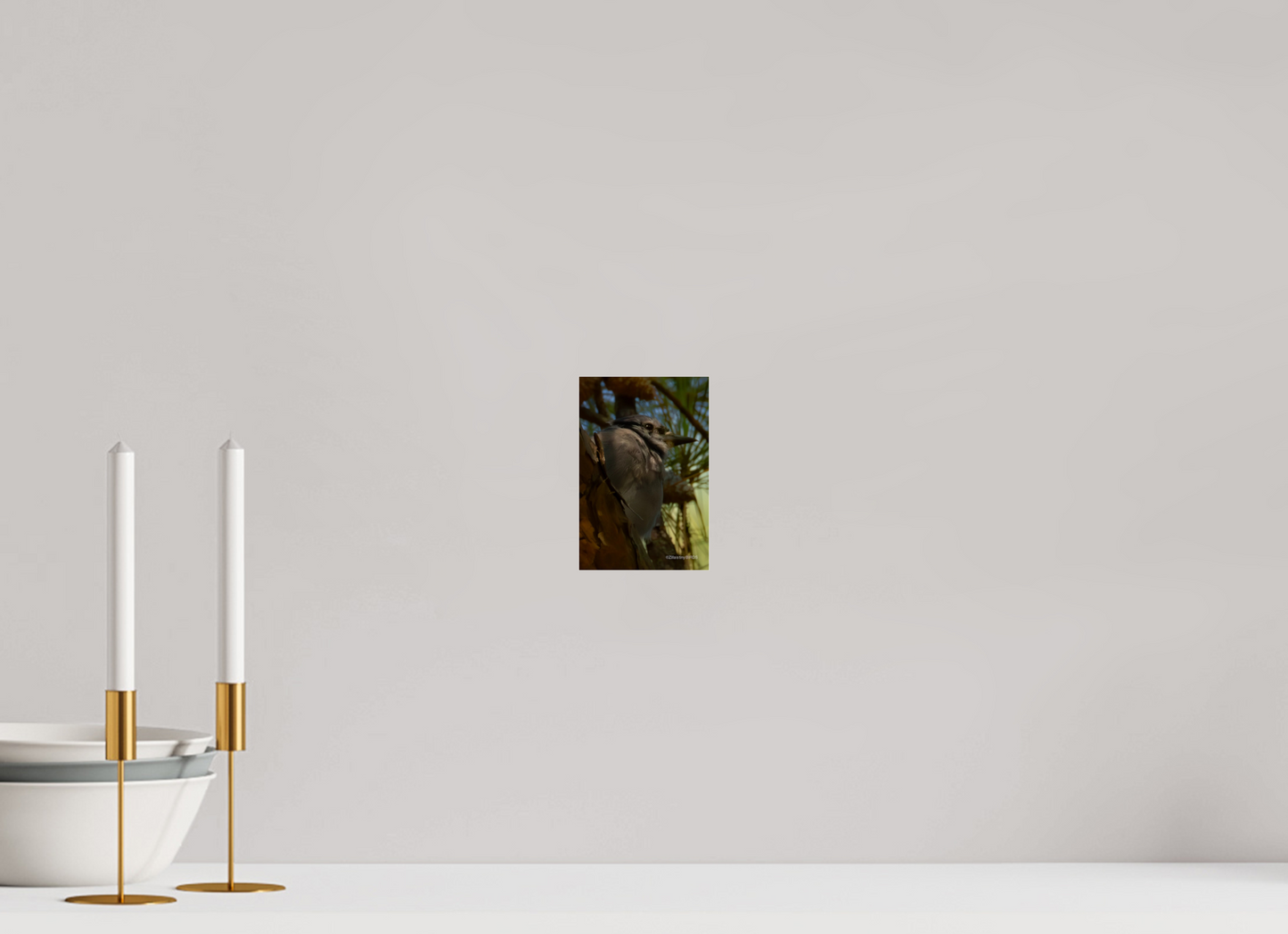 4 x 6″, Photo Print Under Acrylic Glass Zillas Zoom Image 401