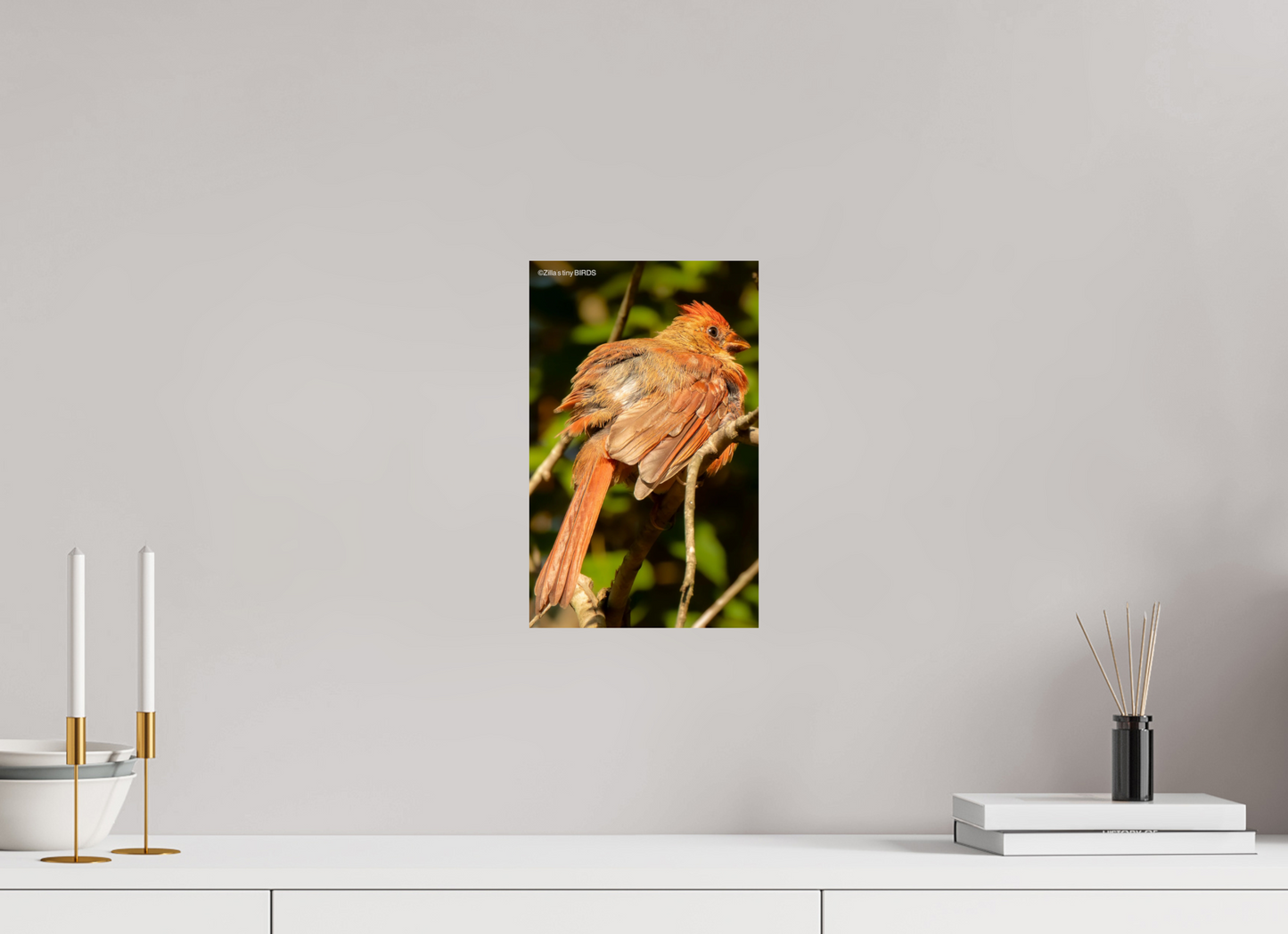 8 x 12.8″, Photo Print On Fuji Crystal DP II Zillas Zoom Image 403