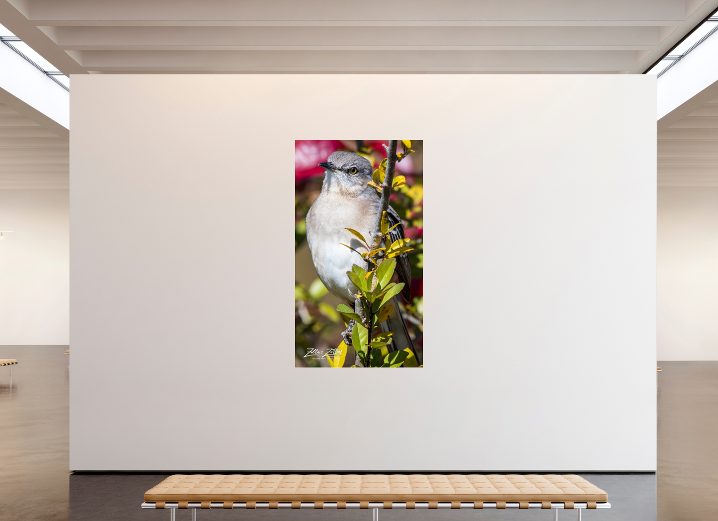 45 x 80″, Photo Print Under Acrylic Glass Zillas Zoom Image 406