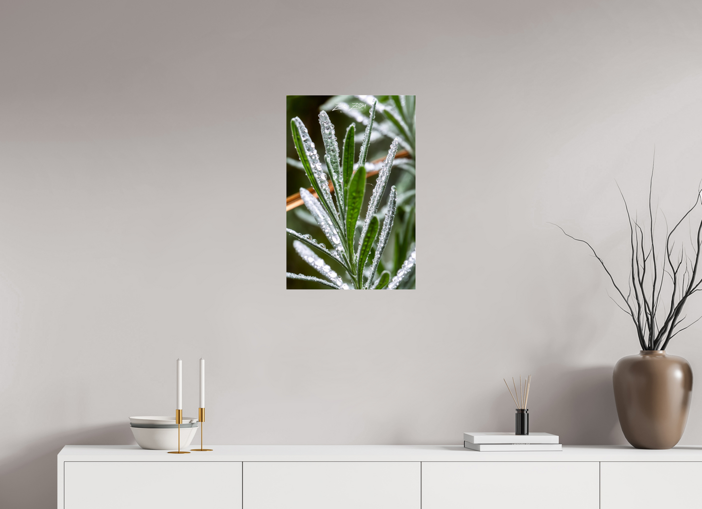 16 x 24″, Photo Print Under Acrylic Glass Zillas Zoom Image 110